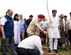 DDA to plant 10 lakh trees