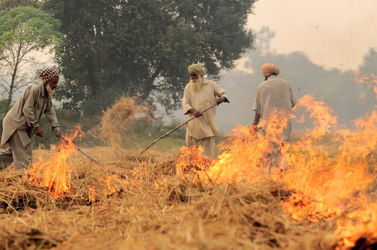 stubble burning-HC-Punjab-Haryana-air-pollution