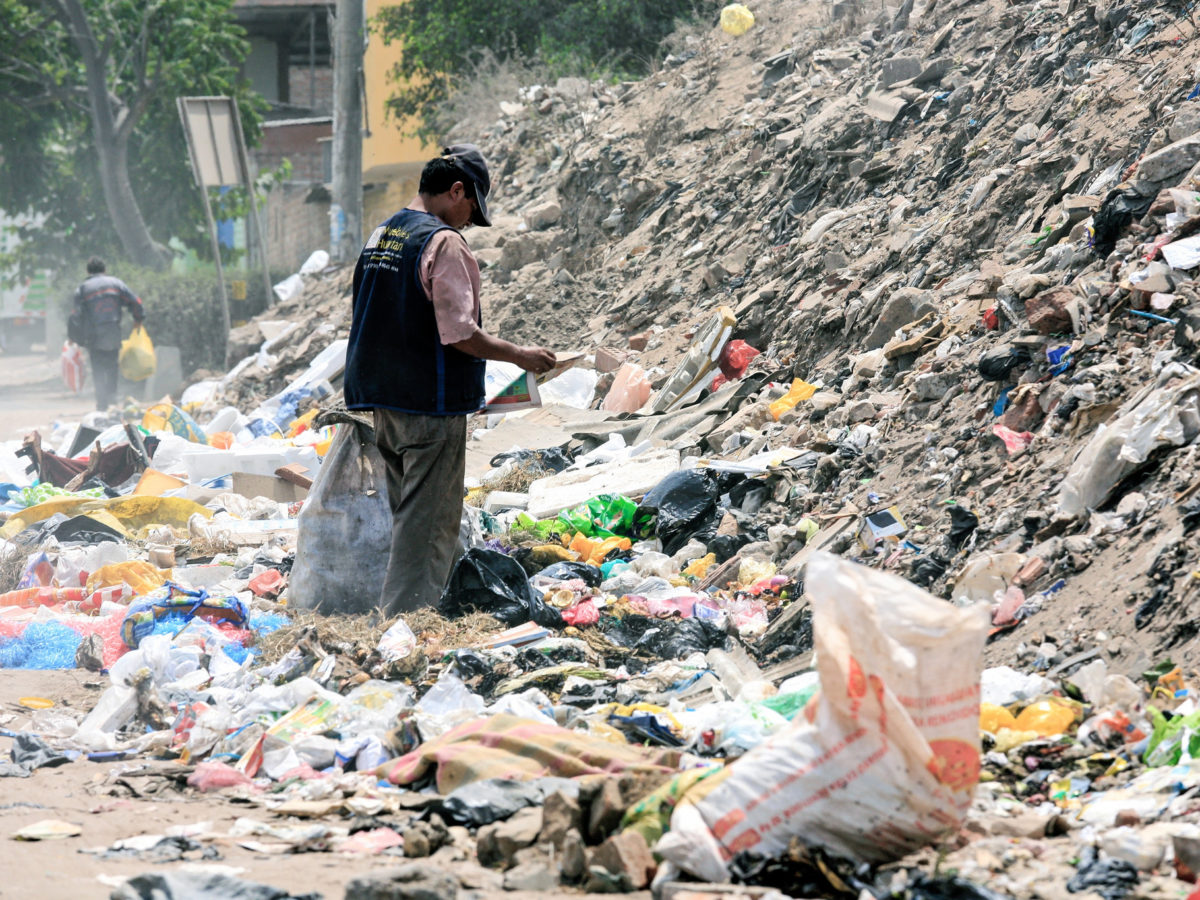 NGT-Odisha -solid-waste-management