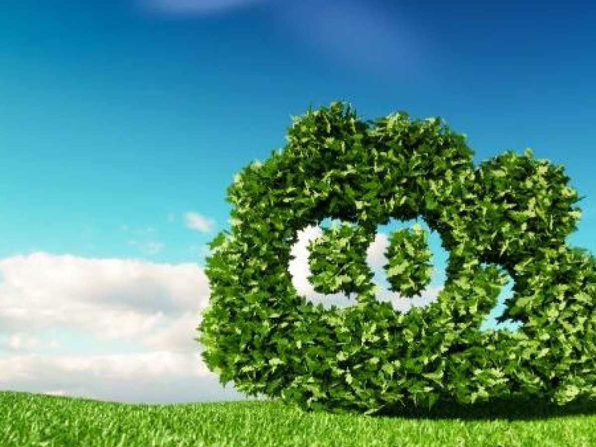 Artificial-Leaves-Carbon-Dioxide-Fuel