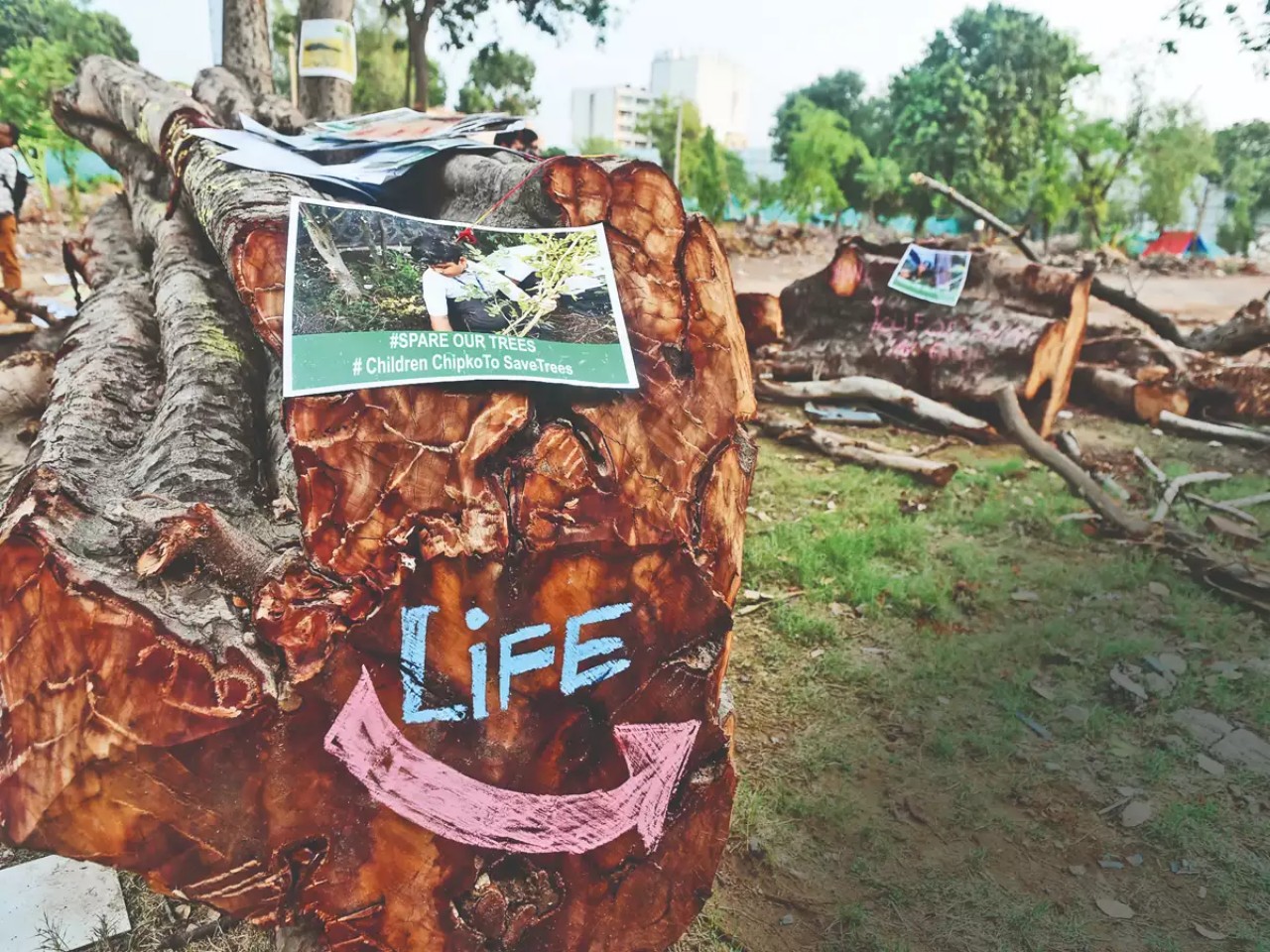 Govt asked to form panel to save every tree