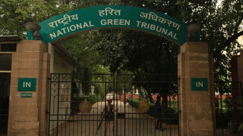NGT pulls up Delhi authorities for going soft on illegal dairies