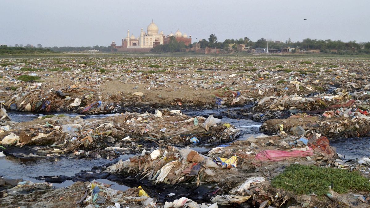 NGT team marks 3 major drains polluting Yamuna