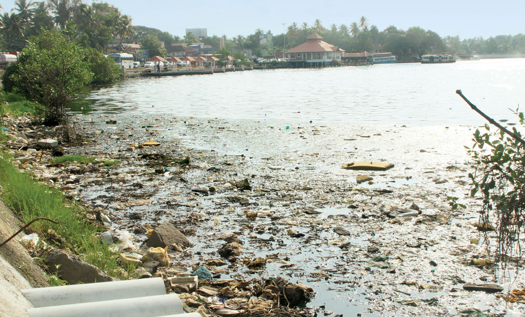 BBMP to certify 183 lakes sewage contamination free