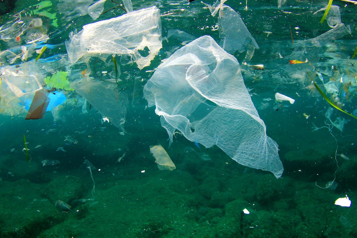 marine plastic pollution