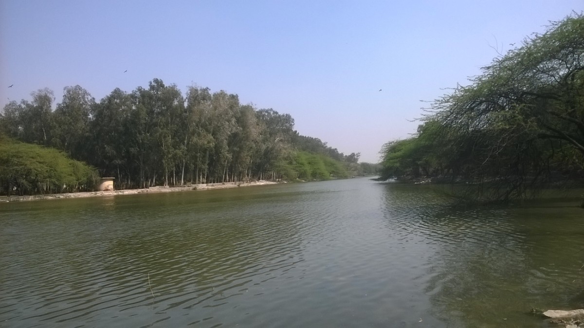 DJB to create lake behind Raj Ghat