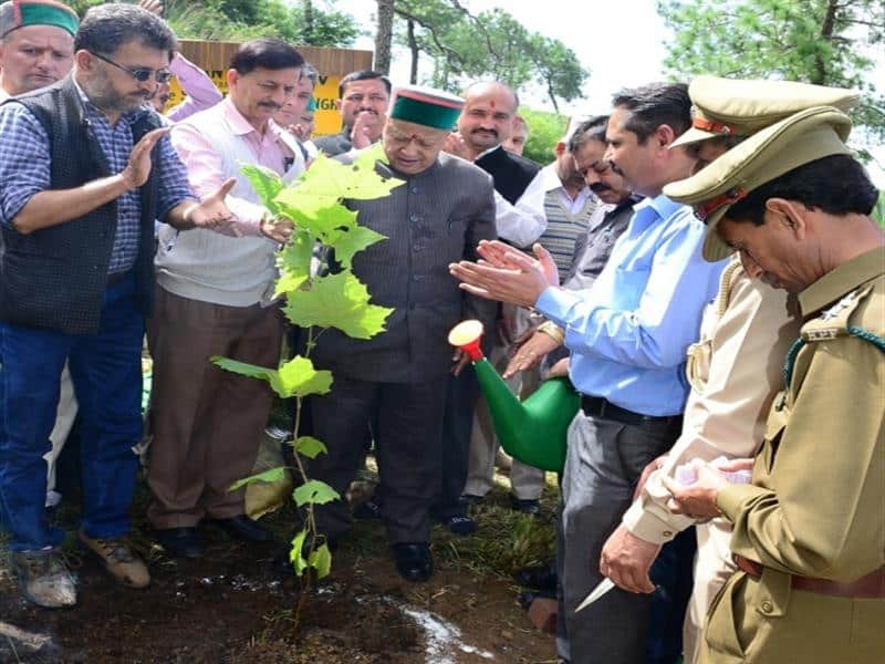 HP plants over 25 lakh saplings in a five-day drive