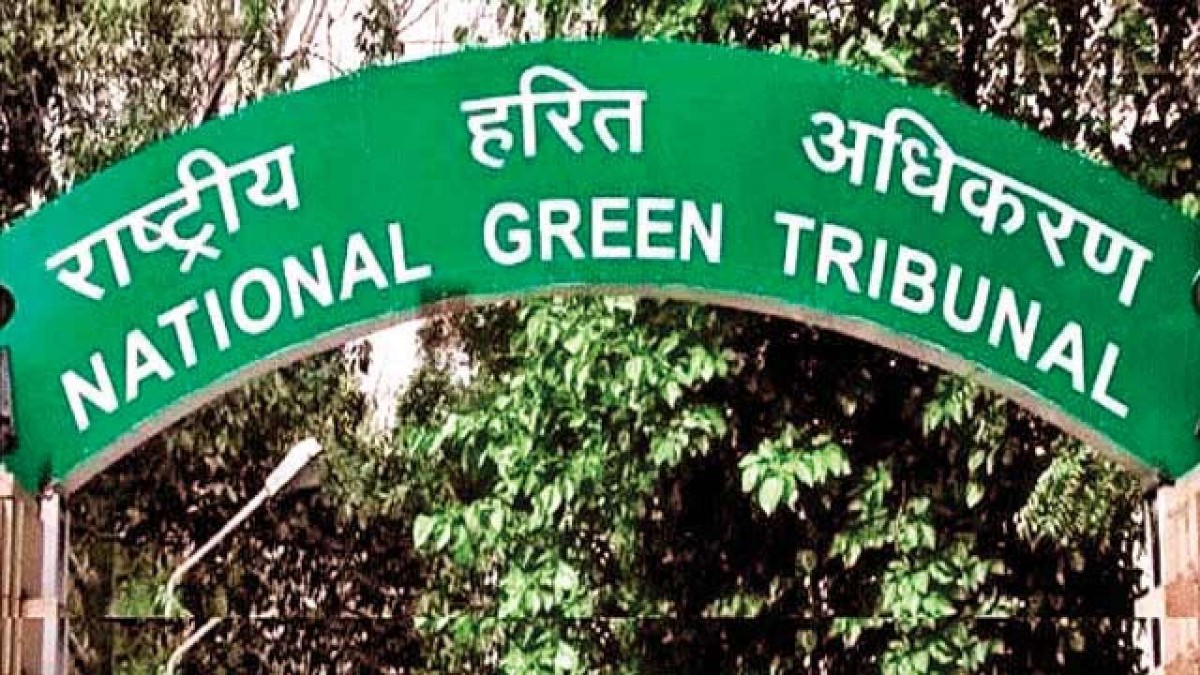 NGT to act against encroachment