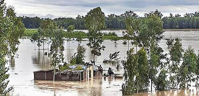 Punjab faces its most devastating flood in four decades