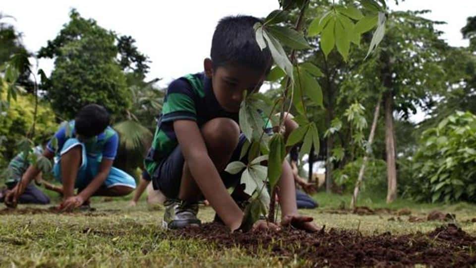 Plantation drive in Solan saw children plant 1,500 saplings