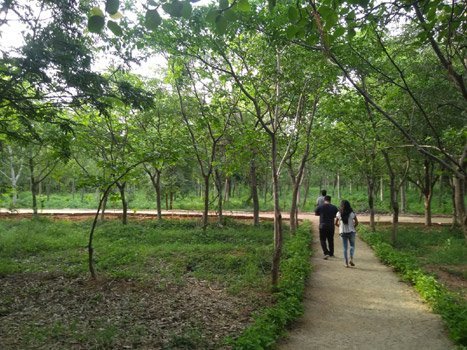 Two new urban forest parks come up at Hyderabad