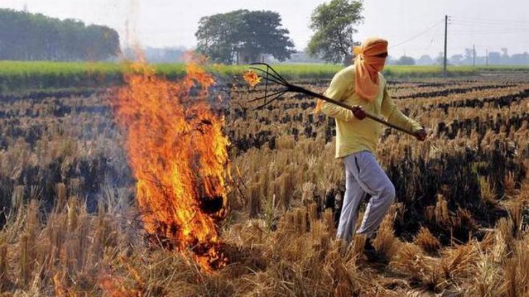 EPCA directs 4 states to curb open waste, stubble burning practices