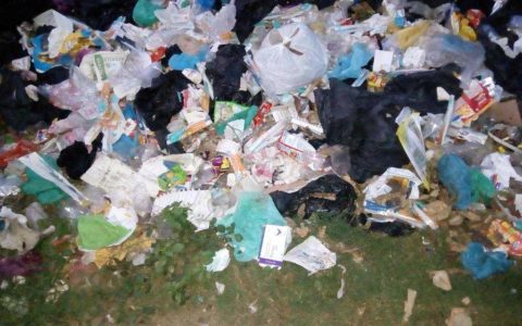 Committee formed to monitor biomedical waste disposal
