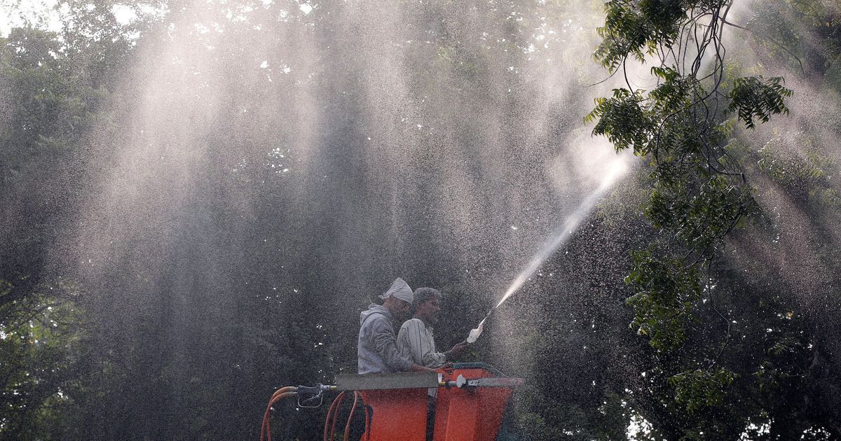 EDMC to use sprinklers to fight air pollution