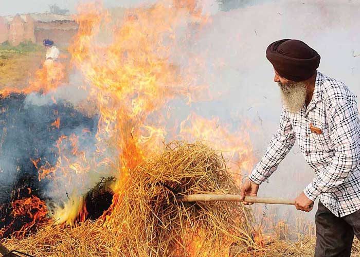 Punjab to depute 8,000 nodal officers to keep stubble burning in check