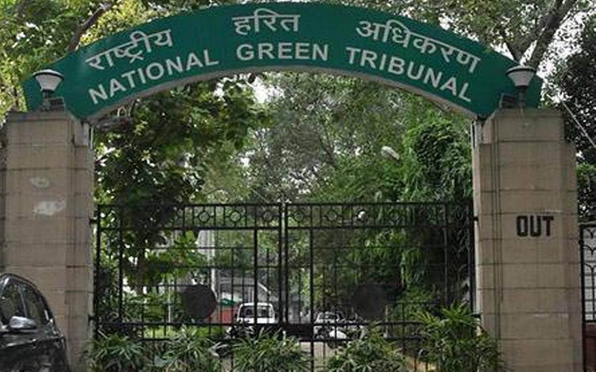 Study compliance of environment laws by tyre pyrolysis units: NGT to CPCB