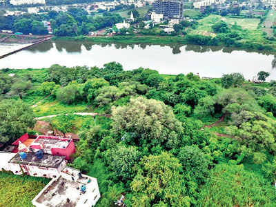 Pune NGO converts dump into city forest