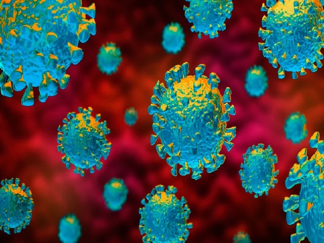 A2a mutation of coronavirus becomes dominant across regions: Study