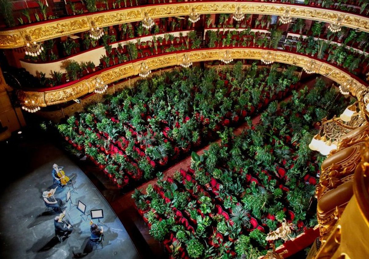 Barcelona Opera reopens with concert for plants