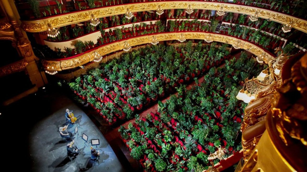 Barcelona Opera reopens with concert for plants