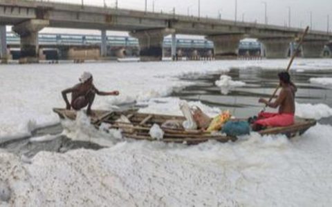 Frothing in Yamuna, NGT panel seeks report from CPCB & DPCC