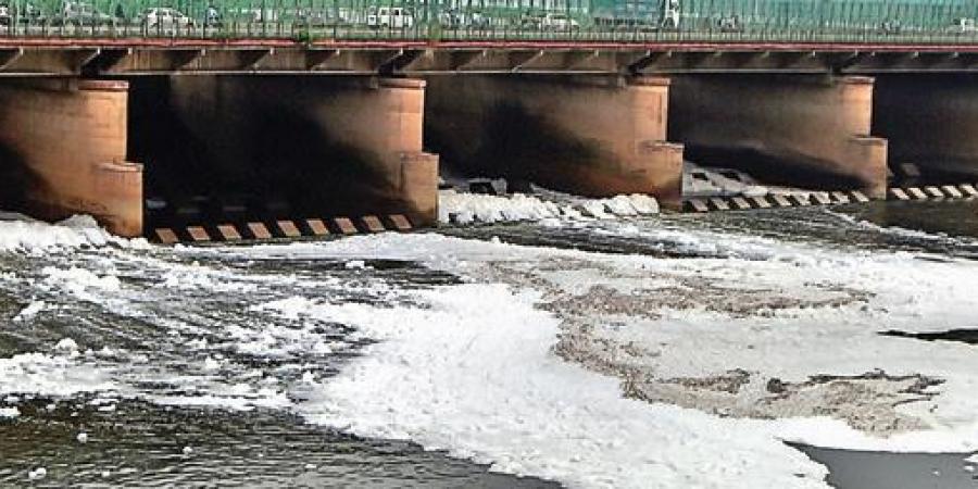 Detergent in sewage caused toxic foam in Yamuna: DPCC to NGT Panel