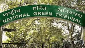 Dispose bio-medical waste properly or pay fine: NGT to MP Government