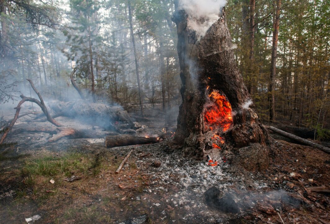 Fires raging across Arctic, emitted large amounts of CO2