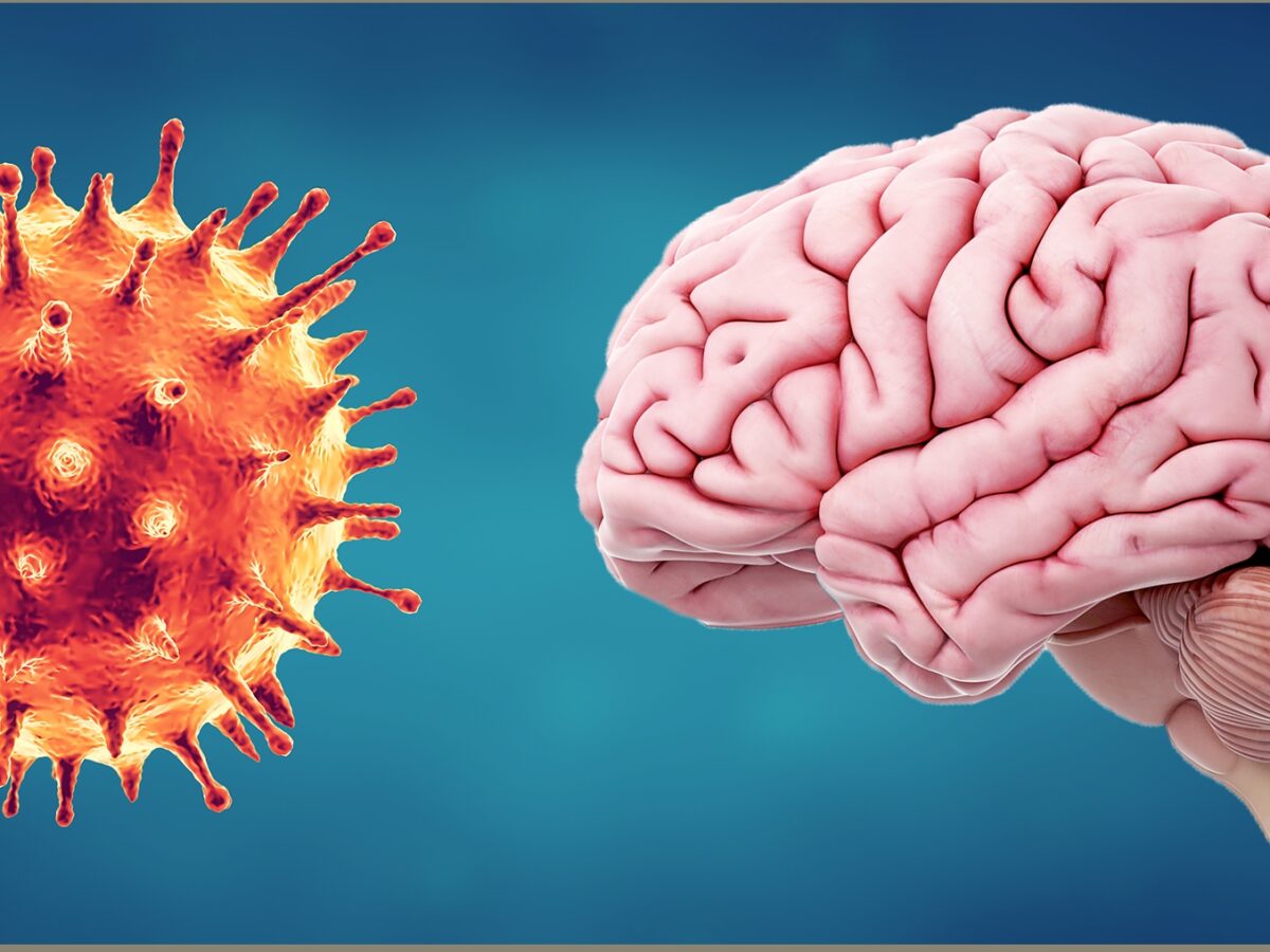 Coronavirus can affect brain: US study