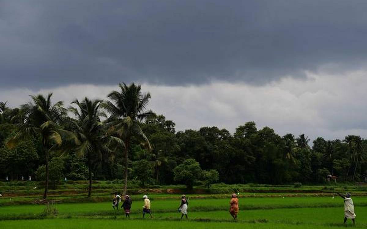Monsoon surge in Kerala, highest downpour in three decades
