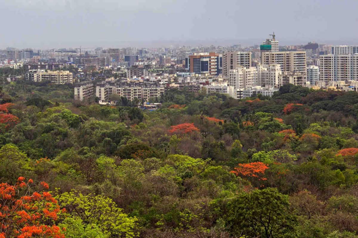 Maharashtra government reserves 600 acres of Aarey