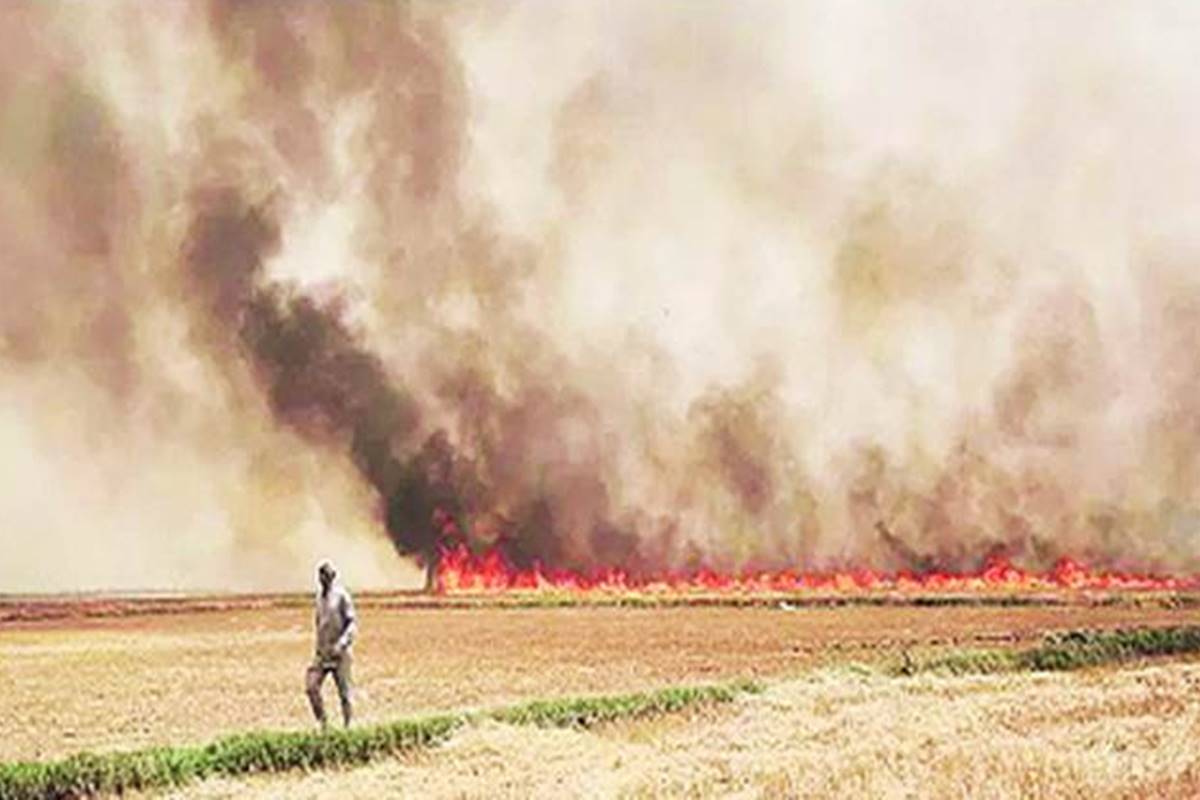 ‘Pusa decomposer’ to deal with smog of stubble burning