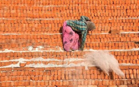 NGT requests UP government to keep a watch on illegal brick kilns