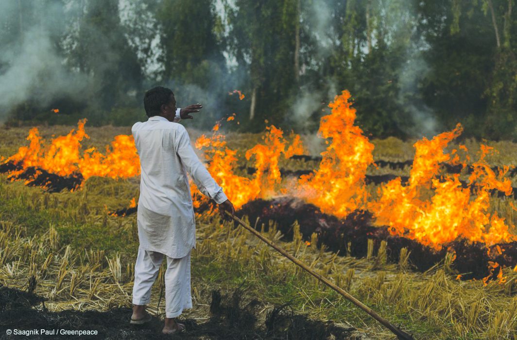 DPCC fines 10 people for Rs 10,000 for practicing stubble burning