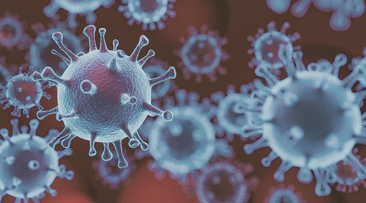 Novel coronavirus remains on human skin for 9 hours: Study