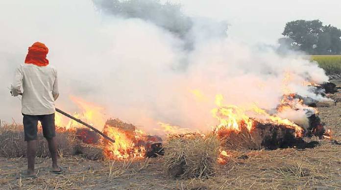 49% increase in stubble burning incidents in Punjab