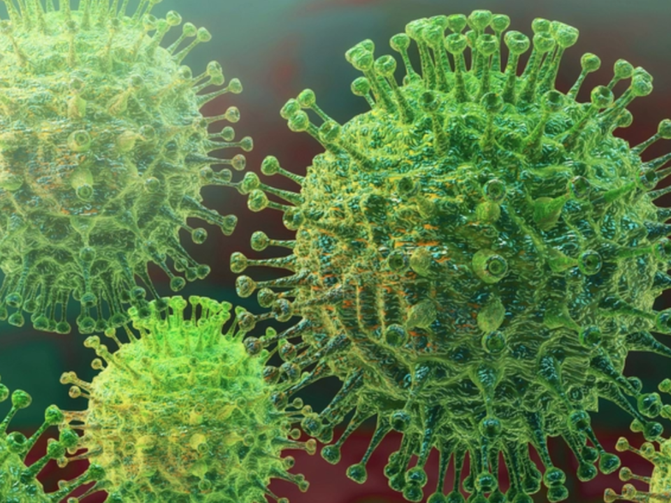 India calls urgent meeting of JMG to discuss new coronavirus strain