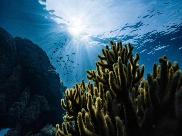 The time to act for a brave new ocean is now: UNESCO Chief