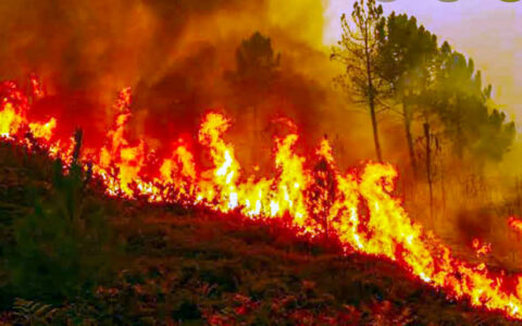 85 forest fires reported in the last 24 hours in Uttarakhand