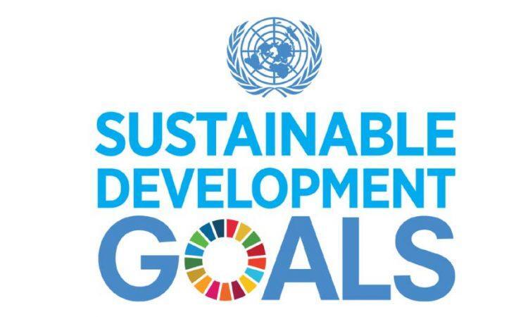 India slips by 2 ranks on 17 SDGs adopted as 2030 agenda: Report
