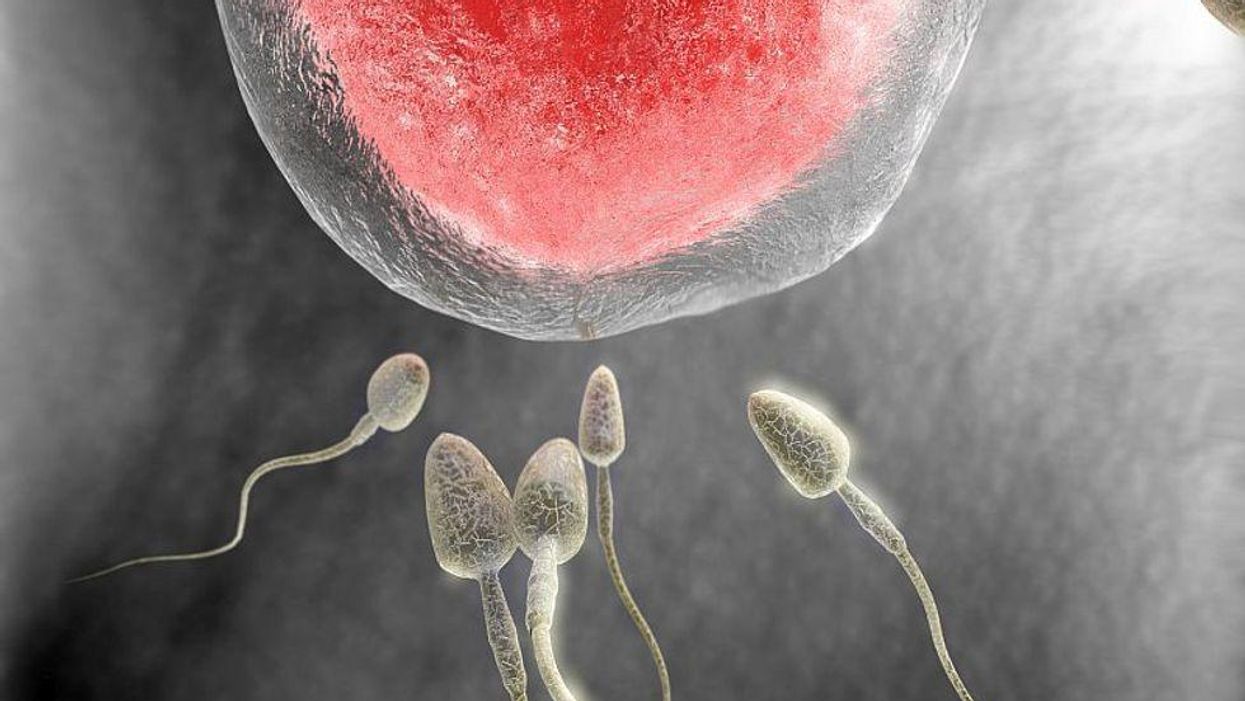 Prior COVID-19 infection won’t affect the IVF success: Study