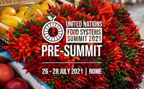 Pre-summit on food systems establishes food as powerful tool for SDGs