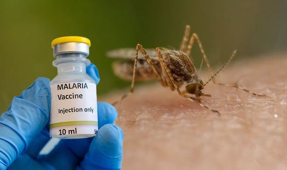 New Malaria vaccine receives WHO's approval