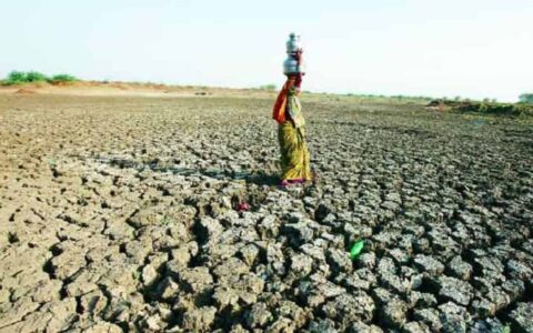 Looming water crisis requires urgent attention: WMO Report