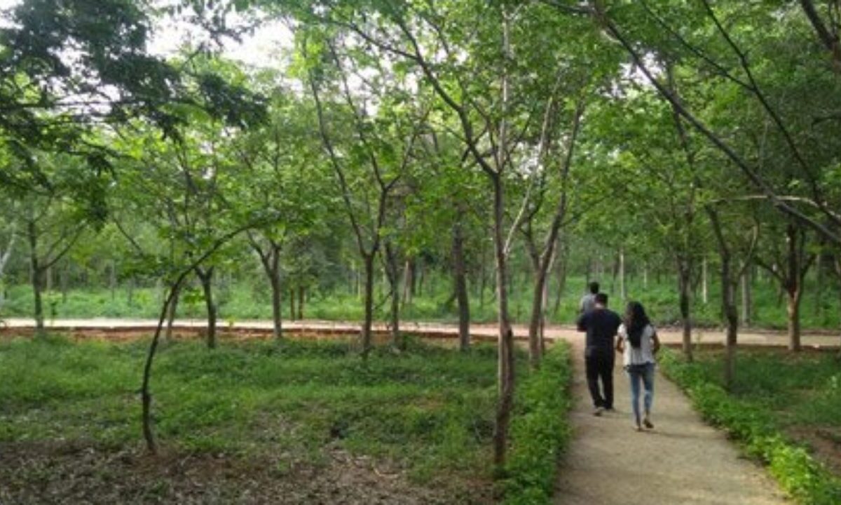 Another urban forest park all set to open in Hyderabad