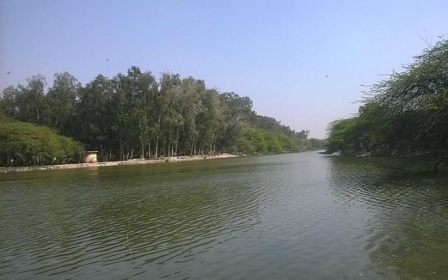 Delhi government drafts ‘brief documents’ for 684 water bodies