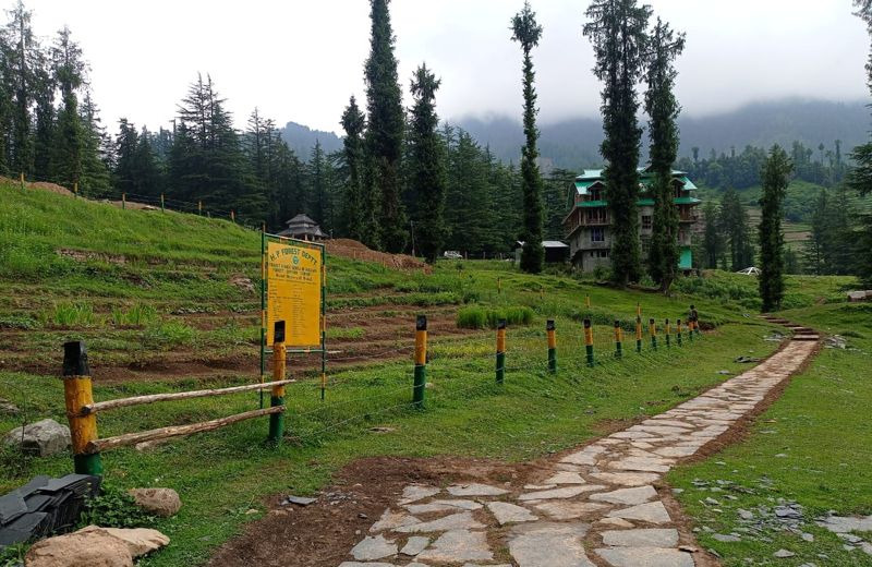 Himachal Pradesh gets its first ethno-botanical park