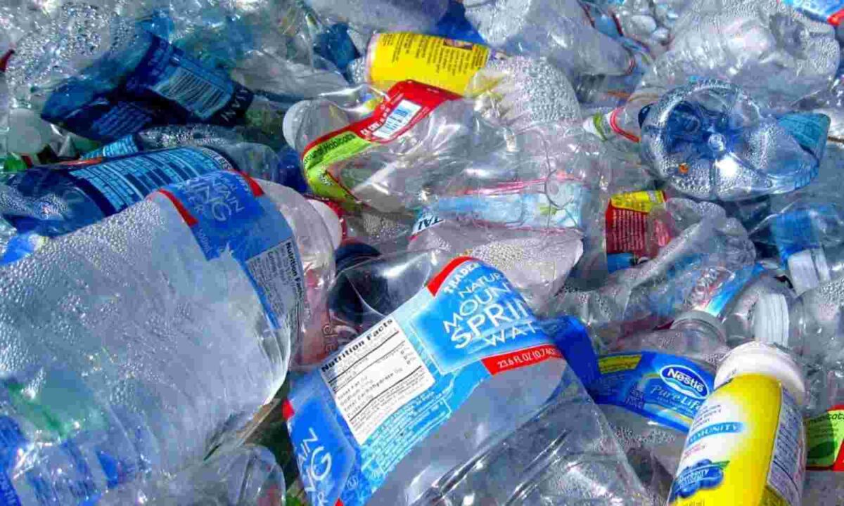 Sikkim government asked to ban plastic bags