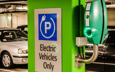 Goa invites bids to build 50 charging stations for EVs