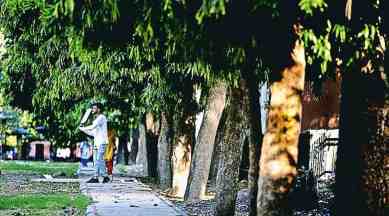 Environmentalists raise concern over assessment of Delhi's forest cover